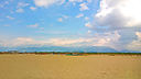 Viareggio